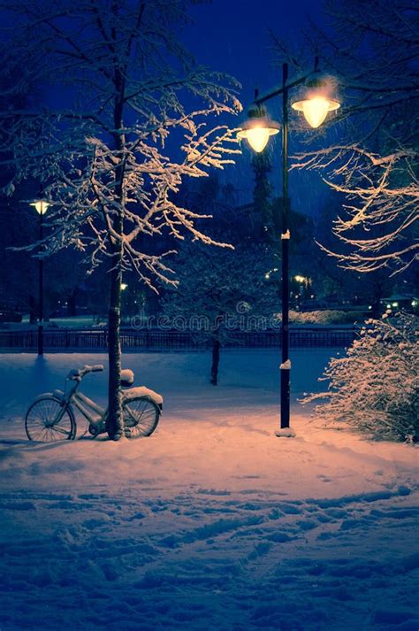 Snowy Park Lighted at Night Stock Photo - Image of nature, lamps: 24668090