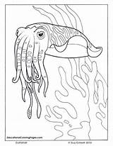 Not to Mention The Result coloring Pages For Preschoolers Are Proudly  sketch template
