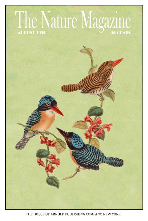 Vintage Bird Magazine Cover Free Stock Photo - Public Domain Pictures