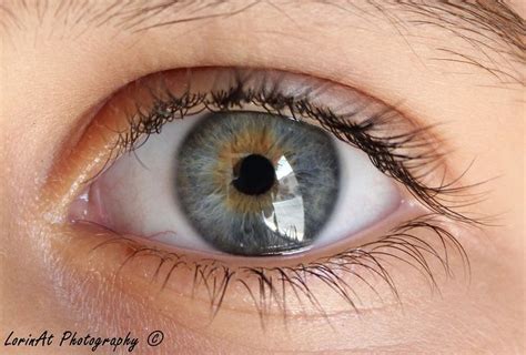 Eye photography, Gray eyes, Eye art