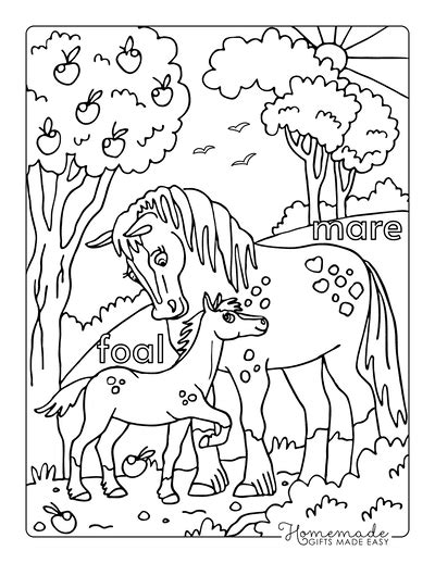 Best Horse Coloring Pages for Kids & Adults | Free Printables