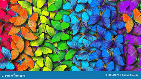 Colors of Rainbow. Pattern of Multicolored Butterflies Morpho, Texture Background. Stock ...