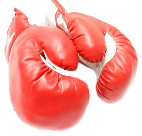 1 Pair of New Boxing / Punching Gloves and Fitness Training : Red 6oz ...