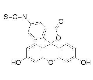 Fluorescein isothiocyanate isomer I | CAS 3326-32-7 | SCBT - Santa Cruz ...