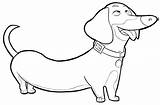 Dachshund Coloring Pages  Best Coloring For Kids sketch template