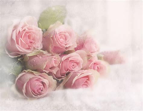 Soft Pink Floral Wallpaper