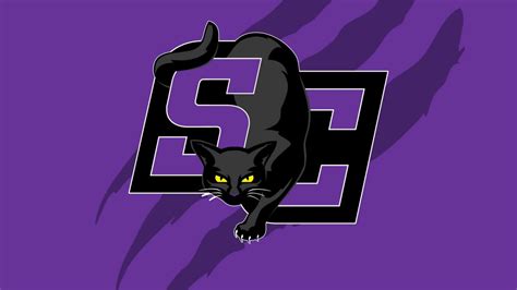 Southwestern College (KS) men's basketball adds Myron Fisher as ...