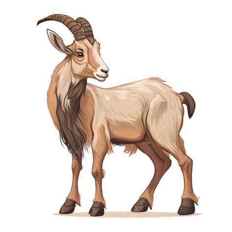 Goat Animal Brown Standing Illustration, Goat, Brown, Illustration PNG Transparent Image and ...