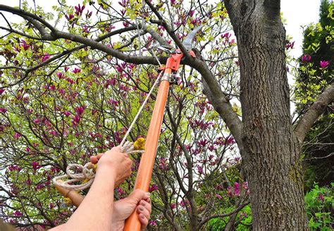 How To Use Pole Pruners