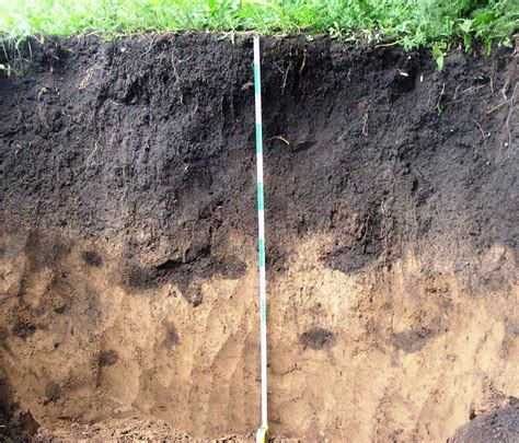 Key to the reference soil groups of the wrb for soil resources (WRB 2006)