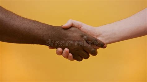 Close Up of a Handshake. Black and White Hand, Interracial Friendship and Cooperation Concept ...