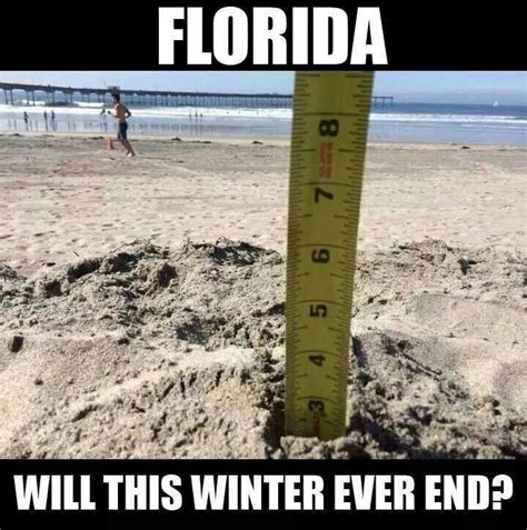 Damn Florida Winters | Florida weather humor, Florida funny, Winter humor