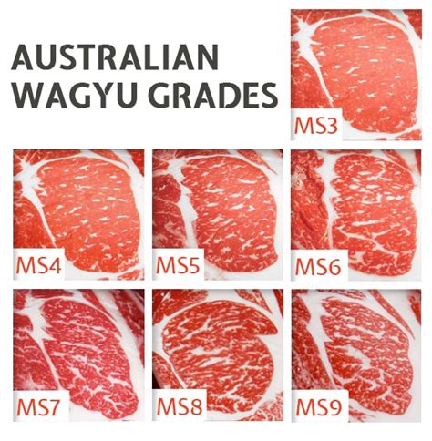 Wagyu Beef Marbling