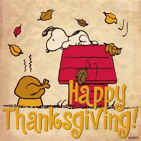 Happy Thanksgiving | Thanksgiving snoopy, Thanksgiving cartoon, Charlie brown thanksgiving