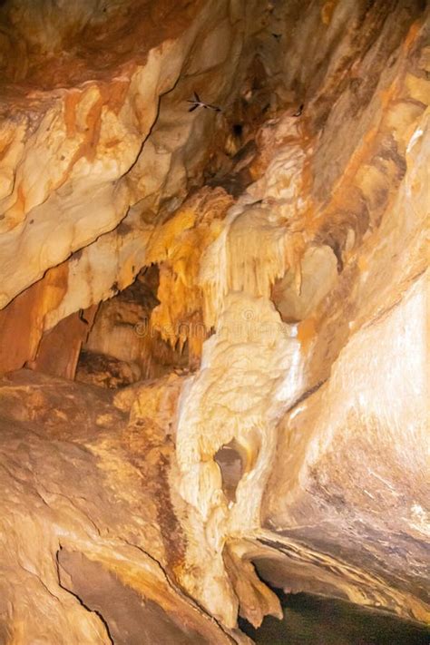 Ain Dhab Cave in Siliana, Tunisia Stock Photo - Image of speleology, governorate: 272573712