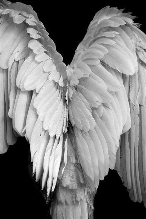 Beautiful angel wings | Angel, Angel art, Wings