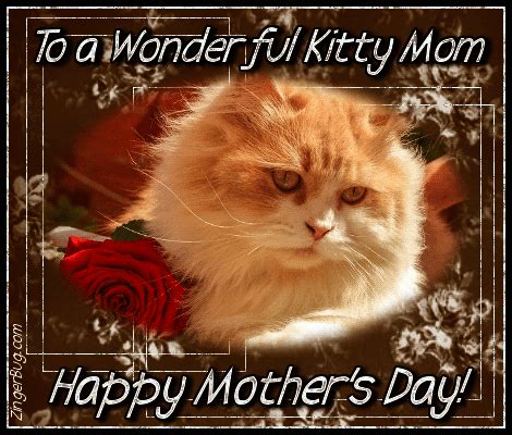 Happy Mothers Day To A Wonderful Kitty Mom gif | Cat mom, Happy mothers ...