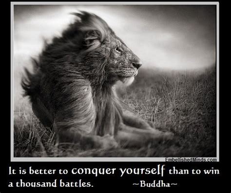 Wisdom Quotes: It is Better to Conquer Yourself | Buddha, Lion, Conquer