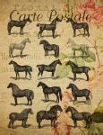 Horse Silhouettes Clipart Free Stock Photo - Public Domain Pictures