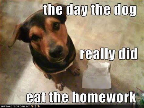 Funny Dog Homework Quotes. QuotesGram