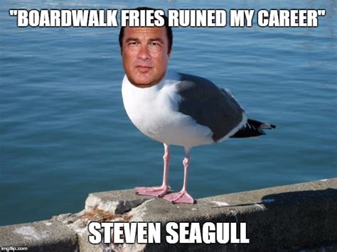 steven seagull - Imgflip