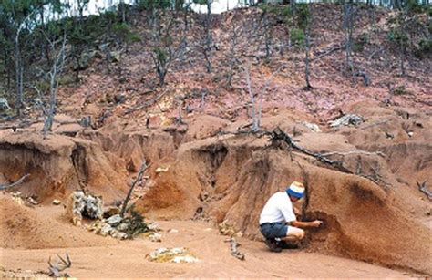 Soil Erosion Pictures For Kids - img-berry