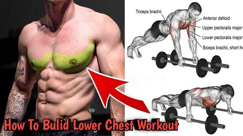 Exercise For Lower Chest | Chest Exercise With Dumbbells | Chest Workout With Dumbbells - YouTube