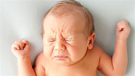 Ahhh Choo!!! Funny Babies Sneezing - Funny Baby Videos [TRY NOT TO ...