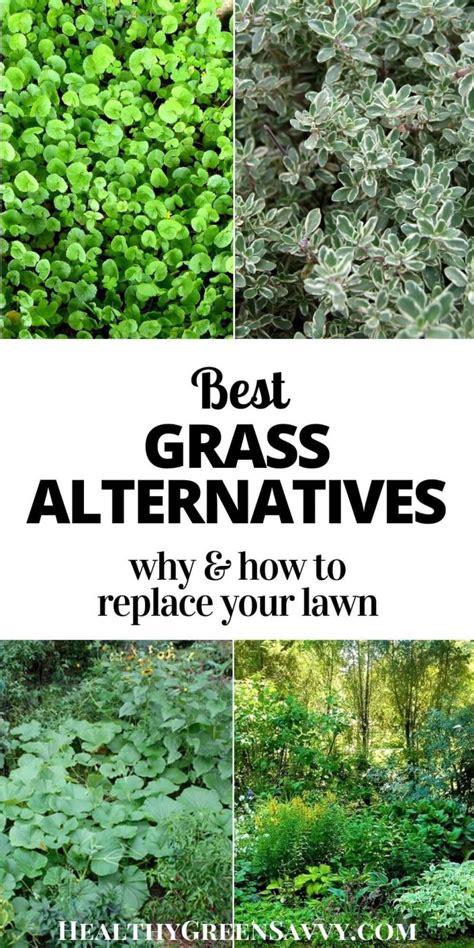 Grass Alternatives: Why & How to Replace Your Lawn