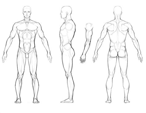 Photobucket Rhph Art Full Body Man Drawing Reference - Full Body Sketch Of A Man | Human anatomy ...