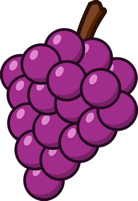 Download Grapes, Fruits, Purple Grapes. Royalty-Free Vector Graphic ...