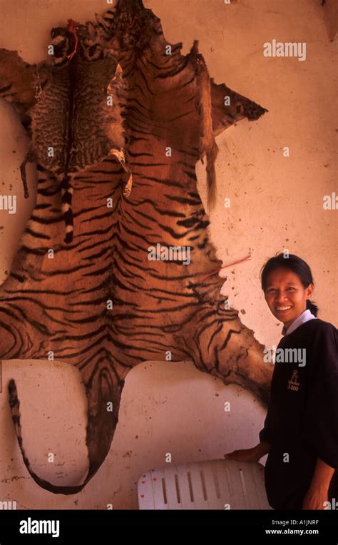 Wildlife trade,Tachilek, Myanmar Stock Photo - Alamy