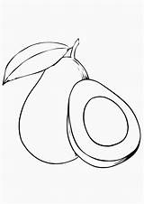 Printable Avocado Coloring Pages For Kids  Fruit coloring sketch template