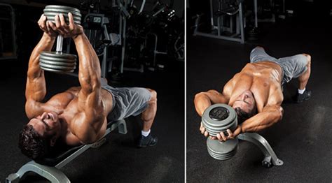 The Best Dumbbell Chest Exercises | SoPosted.com