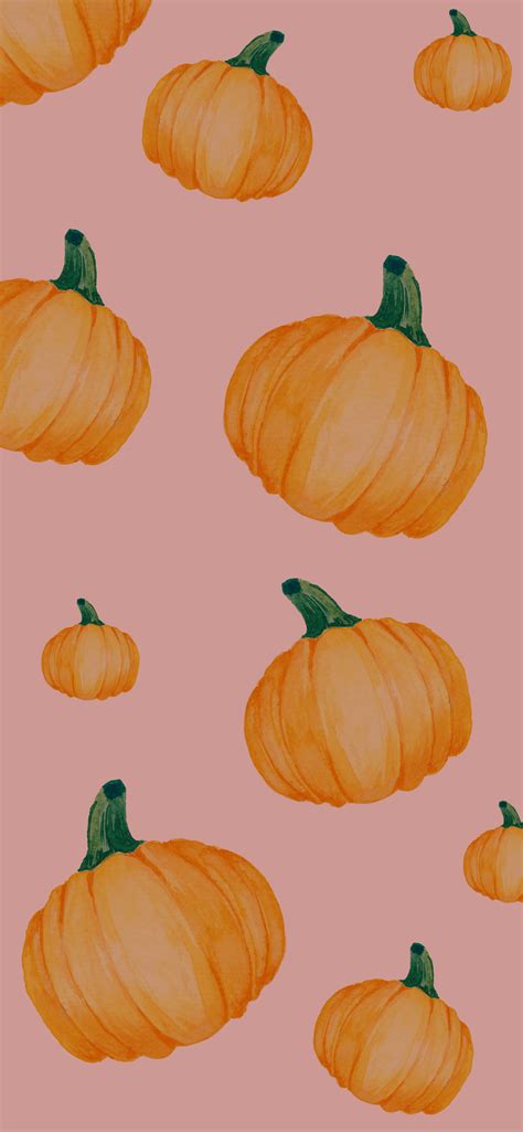 Pumpkin Fall Screensavers For Iphone - Free 4K Wallpaper