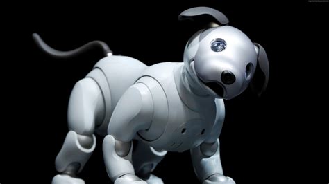 Wallpaper Sony Aibo, robot, dog, HD, Hi-Tech Wallpaper Download - High Resolution 4K Wallpaper