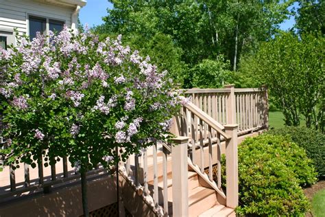 The right combination of deck or patio with plantings is key when designing your landscape ...