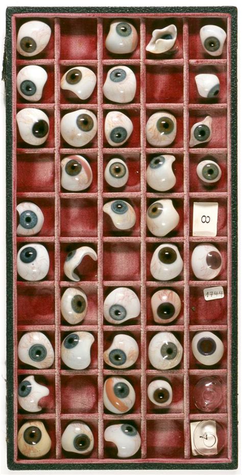 Intriguing Glass Eyes for Anatomy Enthusiasts