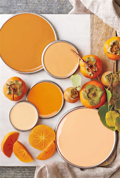 Pretty Persimmon | Paint colors for home, Color inspiration, Paint colors