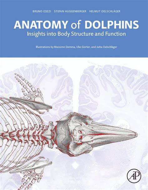 Anatomy of Dolphins: Insights into Body Structure and Function | NHBS ...