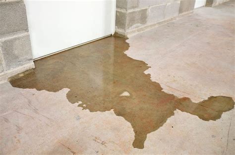 Wet Basement Floor Causes – Flooring Site