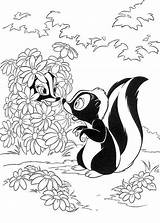 Skunk coloring pages To Download And Print For Free sketch template