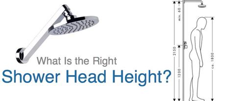 What Is the Right Shower Head Height, and How Do You Adjust It?