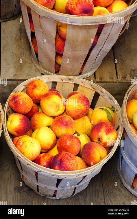 Bushels of fresh peaches in summer in New Jersey Stock Photo - Alamy