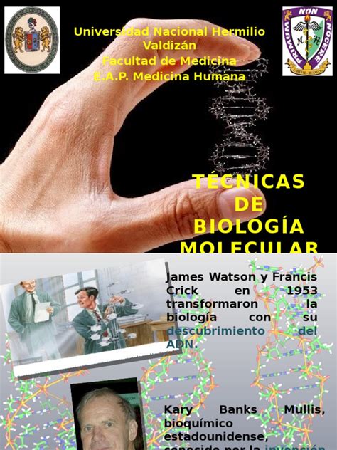 Técnicas de Biología Molecular