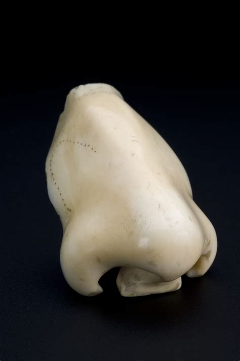 File:Ivory artificial nose, Europe, 1701-1800 Wellcome L0058564.jpg ...