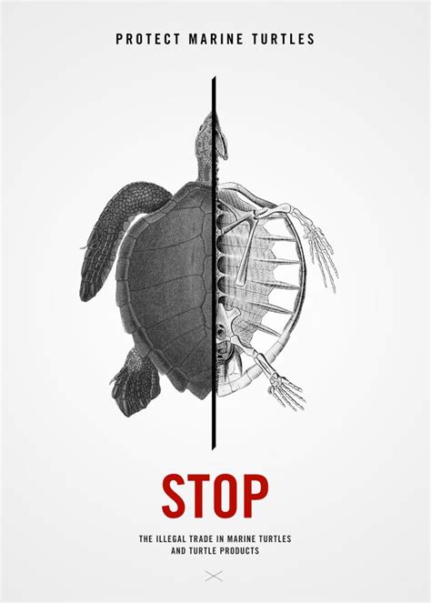 Protect Marine Turtles Art Print by Attitude Creative - X-Small ...