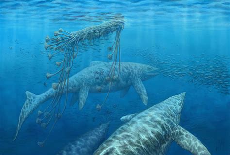 Mundo Pré-Histórico: Shastassauro, o maior de todos os répteis marinhos