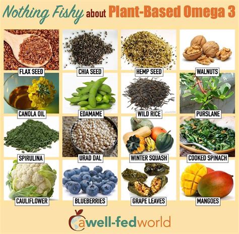 VEGAN UNIVERSE - Omega-3 fatty acids are important in the normal...