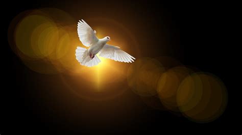 Understanding the Holy Spirit in Christianity | Spirit Restoration